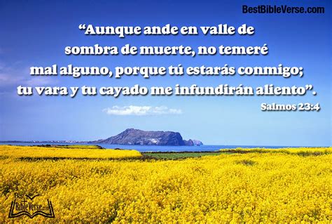 Bible Quotes In Spanish. QuotesGram