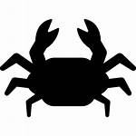 Crab Vector Icons Icon Freepik Shell Designed