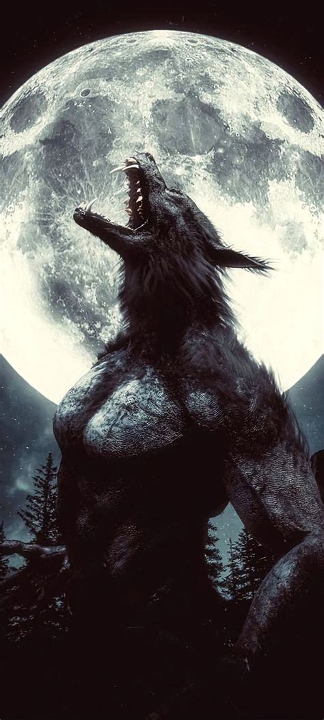 Werewolf Tattoo Werewolf Art Dark Creatures Mythical Creatures Van