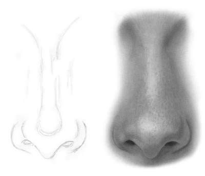 How to draw a nose? 115 best images about drawing noses on Pinterest | Mouths ...