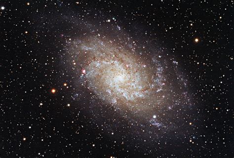 M33 Triangulum Galaxy 10 1 13 Astronomy Pictures At Orion Telescopes