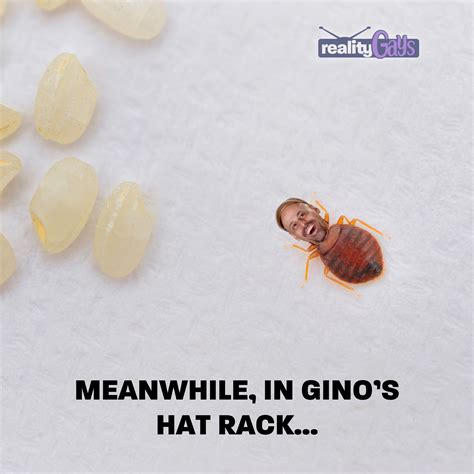 Jasmine: GINO MY SKIN IS ITCHY! Gino: It’s probably your diet. : r