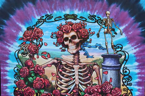 Wmnf Grateful Dead In Tampa Dec 13 And The Freak Show Broadcasting Live