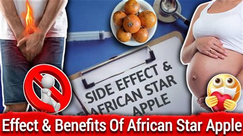 agbalumo side effects and health benefits of african star apple youtube