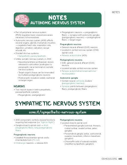 Autonomic Nervous System Notes Diagrams And Illustrations Osmosis