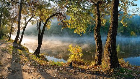 River With Mist Green Leafed Trees Reflection On Water With Sunlight Hd