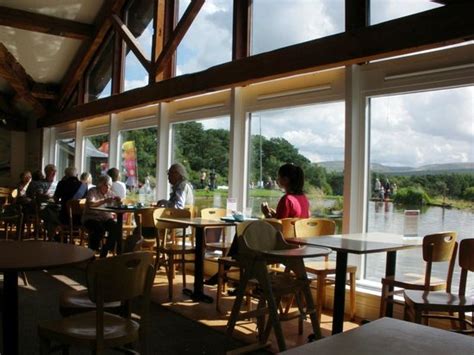 Tebay services are motorway service stations on the m6 motorway at orton in the eden district of cumbria, england.the northbound opened in 1972 and the southbound in 1993. Tebay, with pond in background - Picture of Tebay Services ...