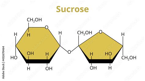2d Vector Molecular Structure Of The Disaccharide Sucrose Common Sugar