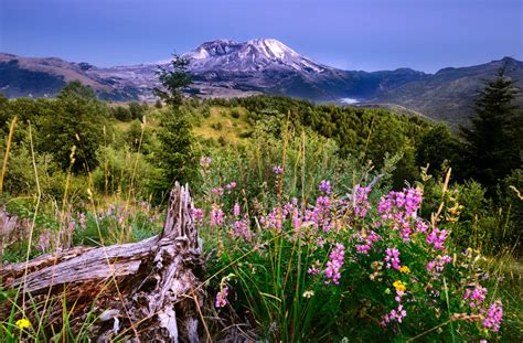 Exploring Mount St Helens 35 Years After Its Historic Eruption