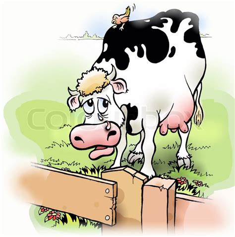 Did you know that hippos attract mates by peeing, elephants only sleep two hours a night, and male bees are locked out of the hive during winter? Sad cow behind fence with bird (illustration) | Stock Photo | Colourbox