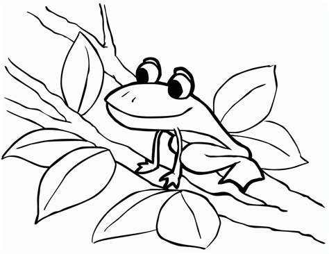 Free Printable Frog Coloring Pages For Kids