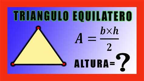 biología Golpe fuerte Treinta triangulo equilatero formula para area
