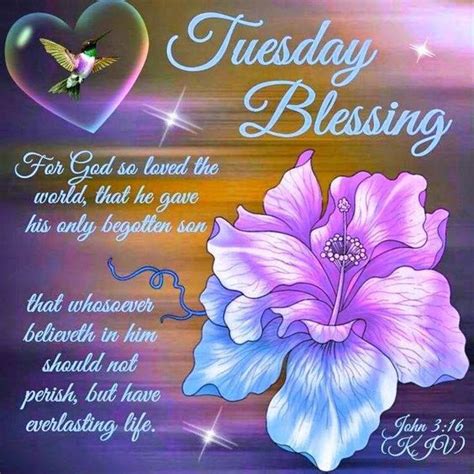Tuesday Blessing Pictures Photos And Images For Facebook Tumblr Pinterest And Twitter