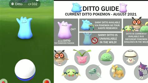 Pokemon Go How To Get Shiny Ditto Garunted In August 2021 How To