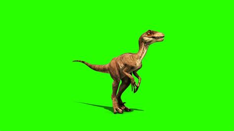 green screen dinosaurs velociraptor prehistory footage pixelboom youtube