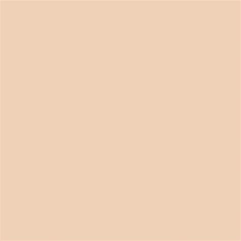 Peach Sherwin Williams Wall Paint