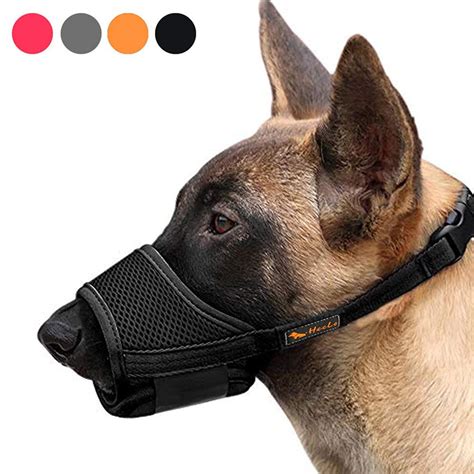 Best Muzzle For Dogs Safely And Comfortably Restrain Your Pup With