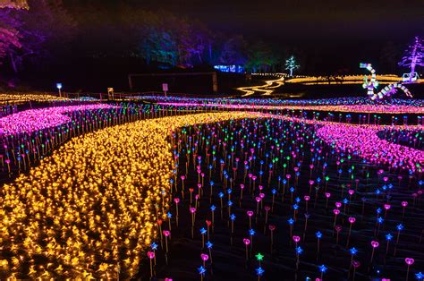 See The Worlds Largest Illumination And Other Things To Do In Joetsu
