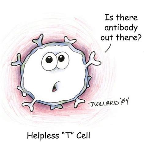 The Helpless T Cell D Biology Jokes Biology Humor Funny Science Jokes