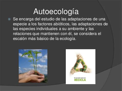 Autoecologia Y Sinecologia Diferencias ¿qué Estudian Ecología Hoy