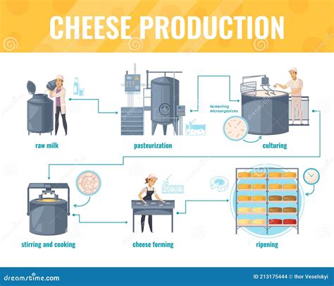 Cheese Production Cartoon Infographics Stock Illustration