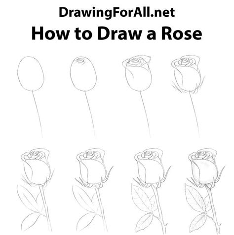 Https://tommynaija.com/draw/how To A Draw Rose