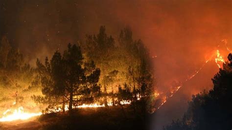 Uyduların termal tarayıcılarıyla saptanan yangınlar hiç de iç açıcı bir tablo sunmuyor. "Orman yangınlarının yüzde 80'i insanlardan kaynaklı"
