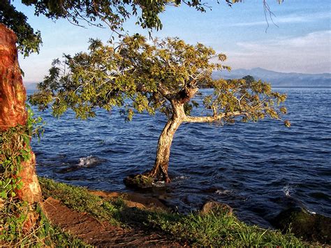 From the natural beauty of the magnificent landscape to the festival of witches held in the town of catemaco each spring, there's plenty to see and do during this. Catemaco Imagen & Foto | naturaleza diversa , naturaleza ...