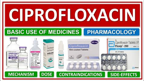 Ciprofloxacin Medicine Basic Use Oral Dose Iv Dose Indications Contraindications Side