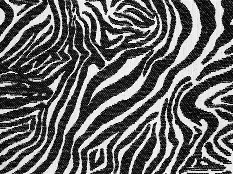 Fabric Texture Zebra Print Cloth Design Black White Stripes Texture X