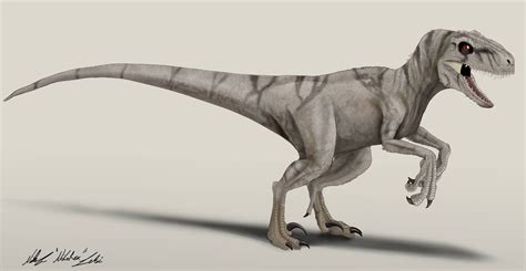 Jurassic World Dominion Atrociraptor Ghost By Nikorex On Deviantart In