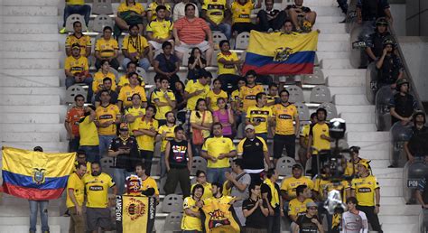 Seis casos de coronavirus en el plantel flamengo envía cuatro refuerzos para reemplazar a los seis positivos. Tragedia: Mueren 12 aficionados del equipo de futbol ...