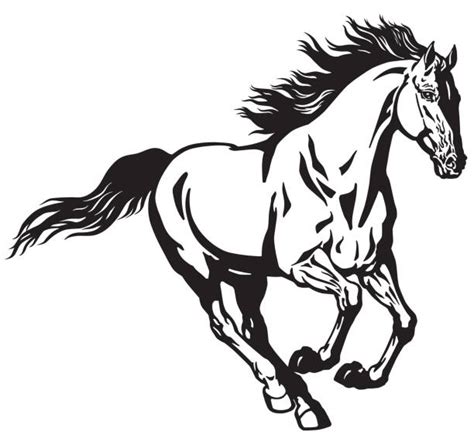 Black And White Horse Illustrations Royalty Free Vector Graphics