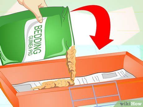 Mar 07, 2014 · one guinea pig needed cleaning out weekly. How to Clean a Guinea Pig Cage (with Pictures) - wikiHow