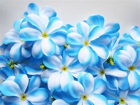 Cream Wallpaper With Blue Flowers Carrotapp