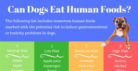 Occasionally, chicken can be used as a good meal replacement if you're out of dog food. Can Dogs Eat Human Food? | Puppy Smarts