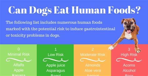 Dog food isn't designed for the unique nutrition needs of humans, though it is made from ingredients that are technically safe for humans to eat. Can Dogs Eat Human Food? | Puppy Smarts