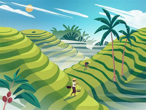 Rice Fields Landscape Illustration Graphic Illustration