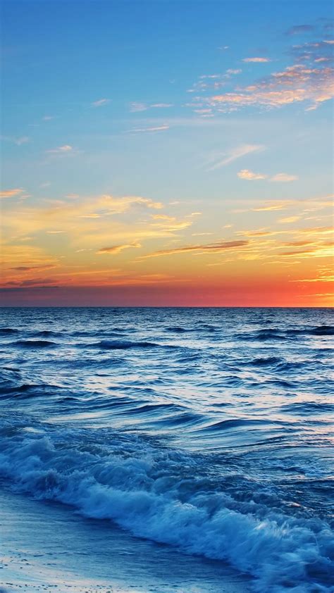 Seashore Sunset Backiee