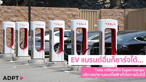 EV แบรนด์อื่นก็ชาร์จได้… Tesla เตรียมเปิด Supercharger บริการแก่ยานยนต์ ...
