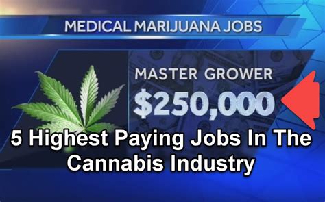 5 Highest Paying Jobs In The Cannabis Industry Mike A Connery