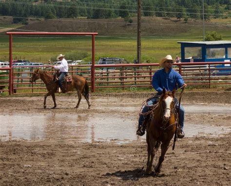 Ranchers Competing At A Rodeo In Colorado Editorial Stock Image Image