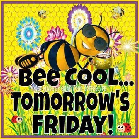 Bee cool...tomorrow's Friday! | Tomorrow is friday, Friday ...