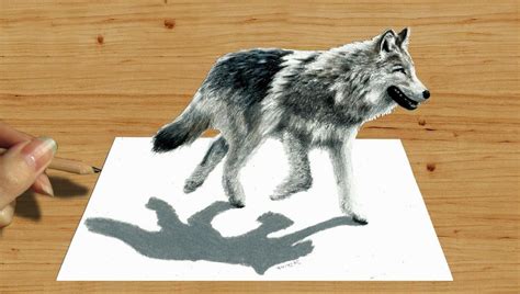 3d Wolf Drawing At Getdrawings Free Download