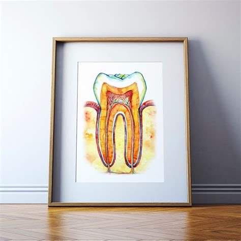 Tooth Bone And Gingiva Watercolor Print Abstract Dental Anatomy Art