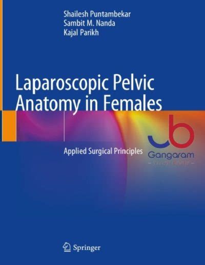 Laparoscopic Pelvic Anatomy In Females