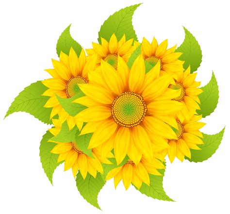 Are you searching for flower line png images or vector? Sunflowers Decoration Clipart PNG Image | Gallery ...