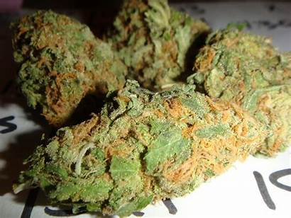 Weed Iphone Wallpapers Marijuana Cannabis Bud Marihuana