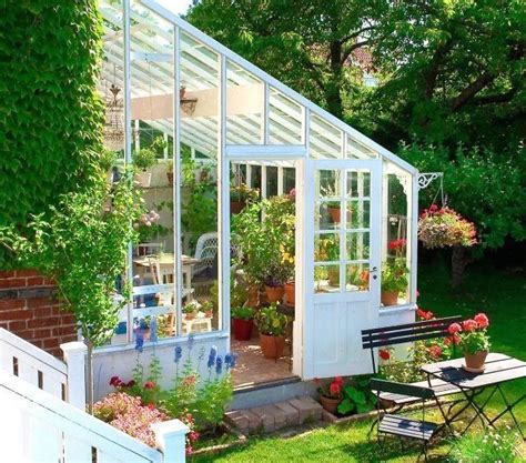 Tumblr 1000 Backyard Greenhouse Greenhouse Homemade Greenhouse