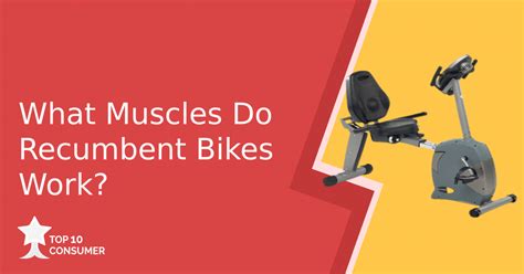 What Muscles Do Recumbent Bikes Work